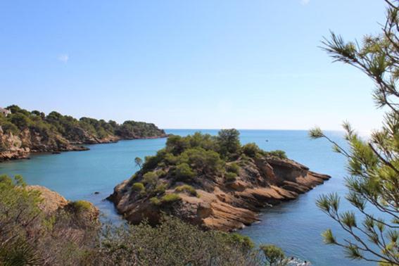 Casita De Pescadores Con Vista Al Puerto Apartment L'Ametlla de Mar Exterior foto